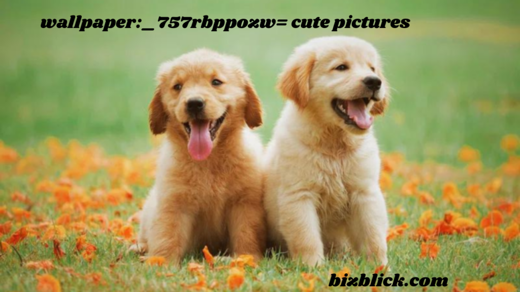 wallpaper:_757rbppozw= cute pictures